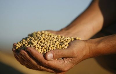 Una huelga afecta a puertos y plantas de molienda de granos en Argentina - MarketData