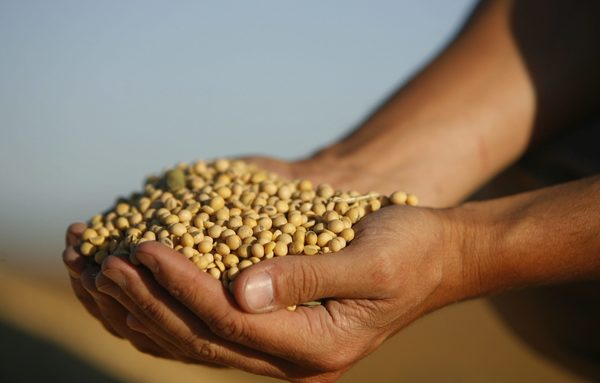 Una huelga afecta a puertos y plantas de molienda de granos en Argentina - MarketData