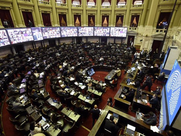 Una Argentina polarizada reabre el debate sobre el aborto en el Parlamento