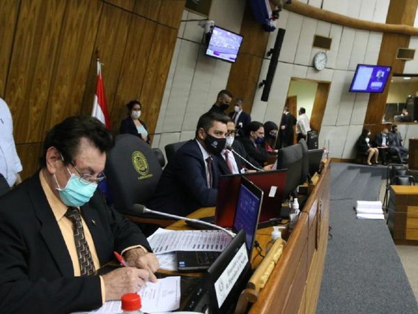 Alliana asegura que senadores buscan "dar golpe blando" a gobierno de Abdo