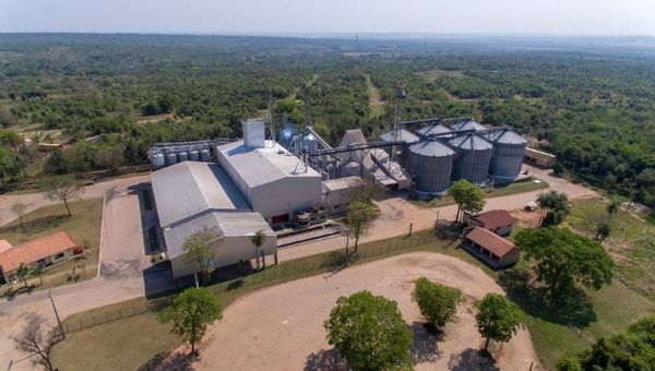 Hecho en Py: Kzero maneja el 35% del mercado y exporta a más de 10 destinos