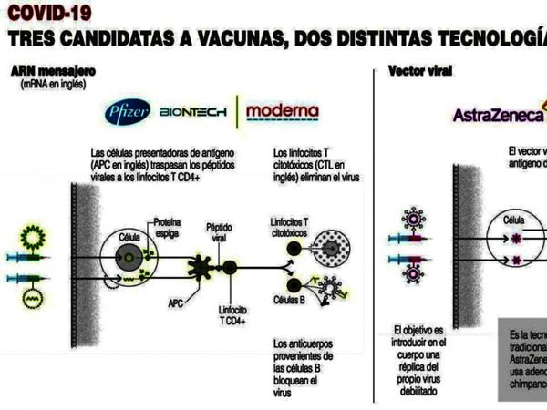Pfizer y BioNTech piden aprobación urgente de su vacuna en Europa