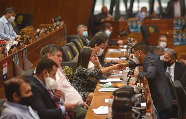 Diputados admiten existencia de la narcopolítica, pero omiten nombres - Nacionales - ABC Color