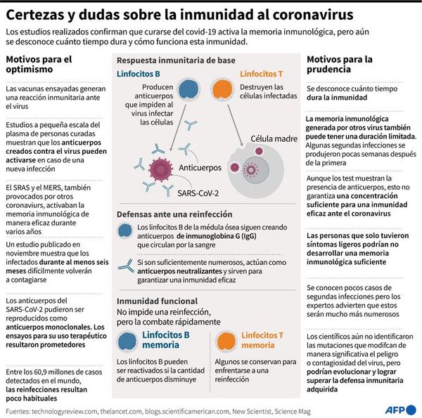 La vacuna, un poco más cerca en un mundo donde las necesidades humanitarias baten récords - Ciencia - ABC Color
