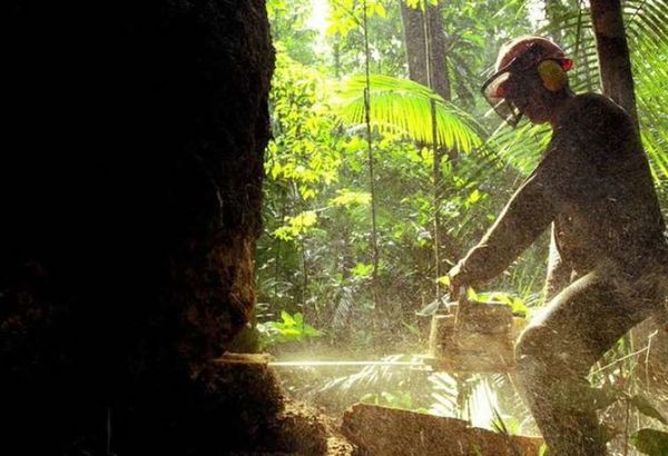 Estamos librando una guerra suicida contra la naturaleza, advierte Antonio Guterres, secretario general de la ONU