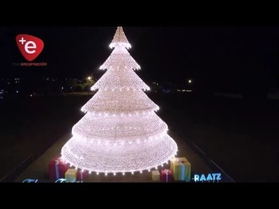 SE ''ENCIENDE'' LA NAVIDAD EN BELLA VISTA CON GIGANTESCO ÁRBOL