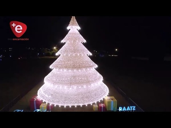 SE ''ENCIENDE'' LA NAVIDAD EN BELLA VISTA CON GIGANTESCO ÁRBOL