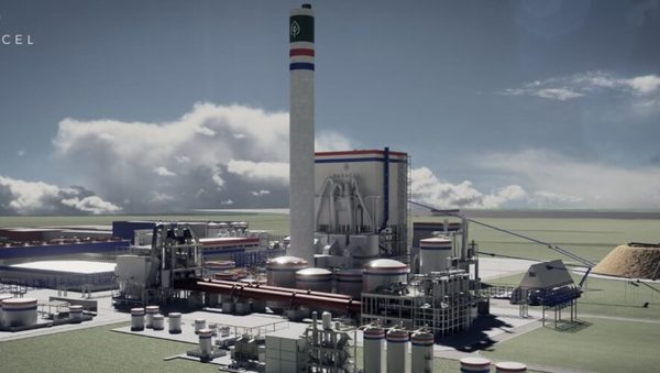 Concepción: MTESS busca 8.000 trabajadores para la construcción de una planta de celulosa | OnLivePy