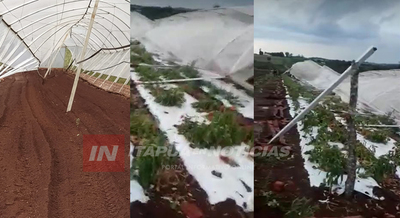 TEMPORAL CAUSA MILLONARIAS PÉRDIDAS A PRODUCTORES.