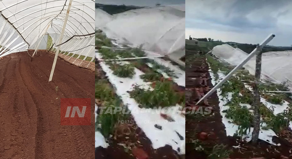 TEMPORAL CAUSA MILLONARIAS PÉRDIDAS A PRODUCTORES.