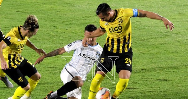 La Nación / Guaraní mide a Gremio esperando dar el golpe