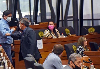 Asesor de bancada de HC defiende veto a transparencia de gastos socioambientales - Nacionales - ABC Color
