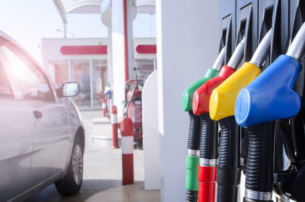 Japón quiere prohibir venta de vehículos a gasolina o diésel en los años 2030 - Nacionales - ABC Color