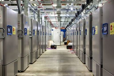 Salud abre licitación para construcción de cámaras de refrigeración y almacenamiento de vacunas contra COVID-19