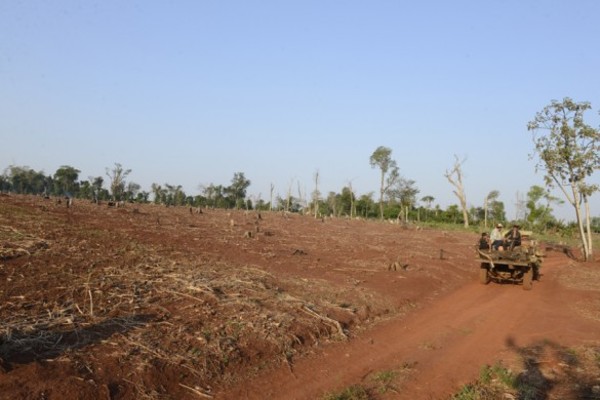 Congreso a punto de dejar medio ambiente sin ley de «deforestación cero»