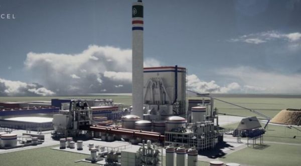 Concepción: Buscan 8.000 trabajadores para la construcción de una planta de celulosa