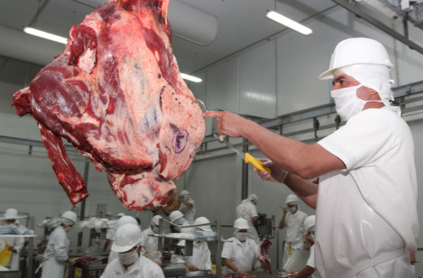 Senacsa apunta a alcanzar récord en exportación de carne bovina | .::Agencia IP::.