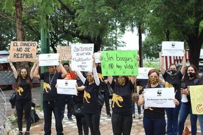 Ante la mirada de organizaciones ambientales, el Senado trata hoy ampliación de la ley de deforestación cero - Nacionales - ABC Color