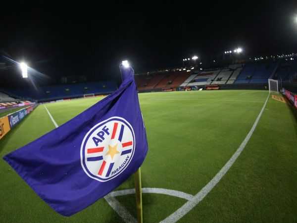 Ante Palmeiras en el Defensores