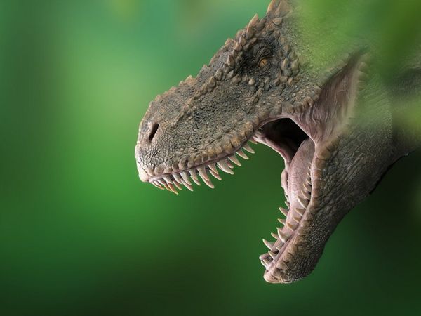 Descubren uno de los antepasados más antiguos del T-Rex