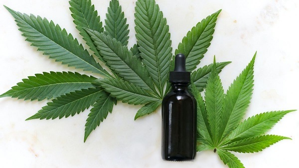 La ONU reconoce propiedades medicinales del cannabis