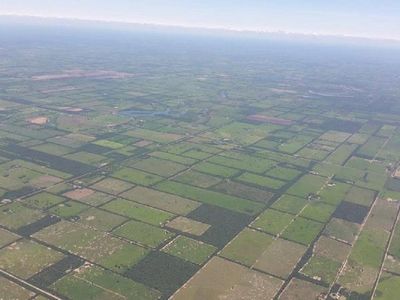 Senado aprueba extender por 10 años Ley de Deforestación Cero