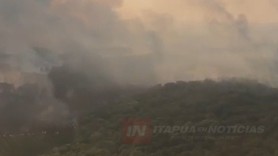 TRAS INCENDIOS, INICIAN PLANES DE REFORESTACIÓN DESDE LA COOP. NARANJITO