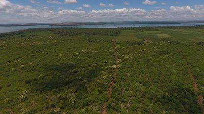 Ley de Deforestación Cero: Diputados a la espera del proyecto aprobado por Senadores