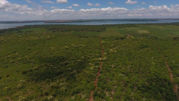 Ley de Deforestación Cero: Diputados a la espera del proyecto aprobado por Senadores » Ñanduti