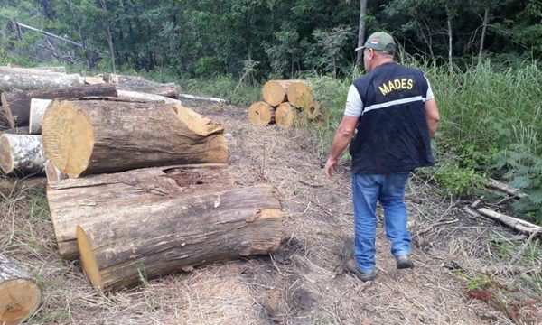 Aprueban prorrogar por 10 años vigencia de ley “Deforestación Cero» para la región Oriental
