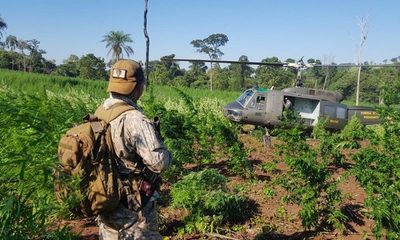 Sancionan plan de carrera para agentes especiales de la SENAD
