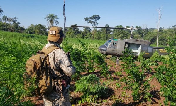 Sancionan plan de carrera para agentes especiales de la SENAD