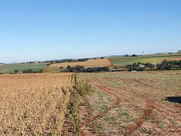 Denuncian al Mtess por "apriete" a agricultores y comerciantes