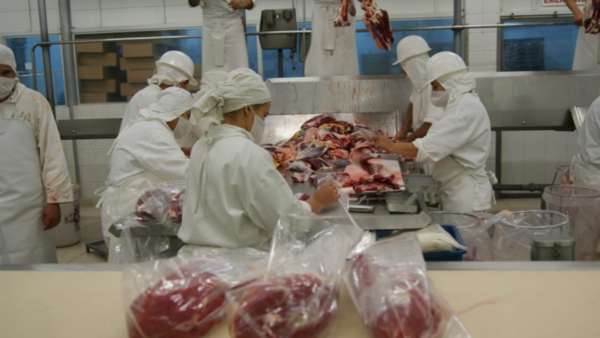La exportación de carne bovina apunta a alcanzar un nuevo récord