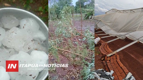 SECTOR HORTÍCOLA FUE EL MÁS AFECTADO POR EL TEMPORAL DE AYER