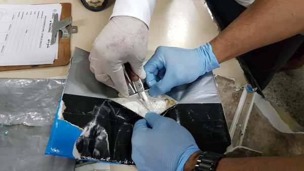 Canes antidrogas frustran envío de catálogo turístico con cocaína a Australia - ADN Paraguayo