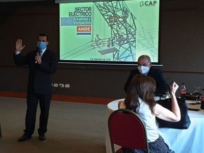 Empresarios piden solución a la ANDE ante pérdidas millonarias por cortes