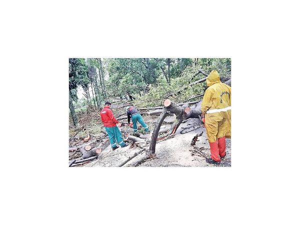 Realizan limpieza en Parque Caballero y zona de sumideros