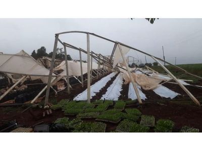 Un fuerte temporal causó destrozos en  Itapúa, Misiones y Alto Paraná