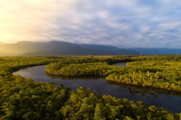 Gobierno de Bolsonaro pide recursos a países críticos para preservar Amazonía - Mundo - ABC Color