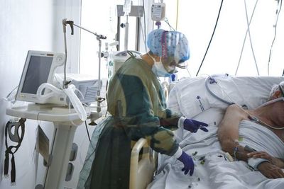 La inteligencia artificial es capaz de diagnosticar el coronavirus - Tecnología - ABC Color