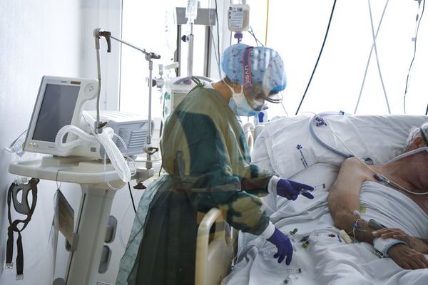 La inteligencia artificial es capaz de diagnosticar el coronavirus - Tecnología - ABC Color