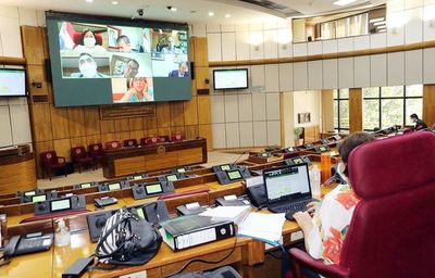 Senadora Martínez justifica aumentos para funcionarios “en situación de desigualdad” - Nacionales - ABC Color