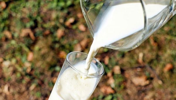 Sector lácteo cerrará un buen año, a pesar de la pandemia