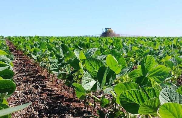 La agricultura es la única forma que se tiene para salir del déficit financiero