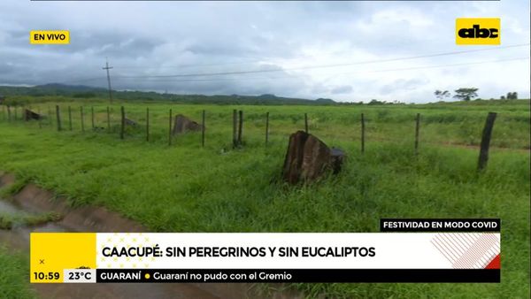 Caacupé: sin peregrinos y sin eucaliptos - ABC Noticias - ABC Color