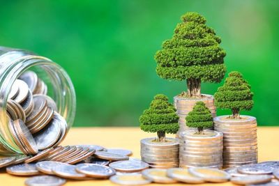 Banco paraguayo incursiona con bonos sostenibles en los mercados internacionales - MarketData
