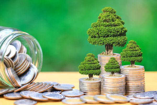 Banco paraguayo incursiona con bonos sostenibles en los mercados internacionales - MarketData