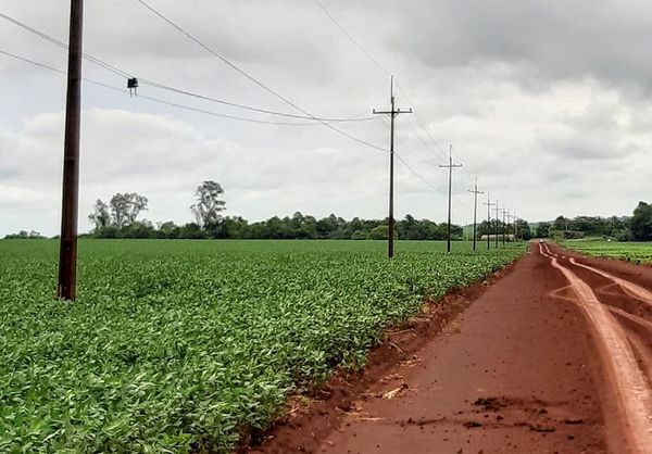 Productores celebran primera buena lluvia general - Nacionales - ABC Color