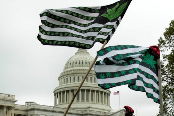 EEUU: la Cámara de Representantes aprobó la despenalización de la marihuana a nivel federal | OnLivePy